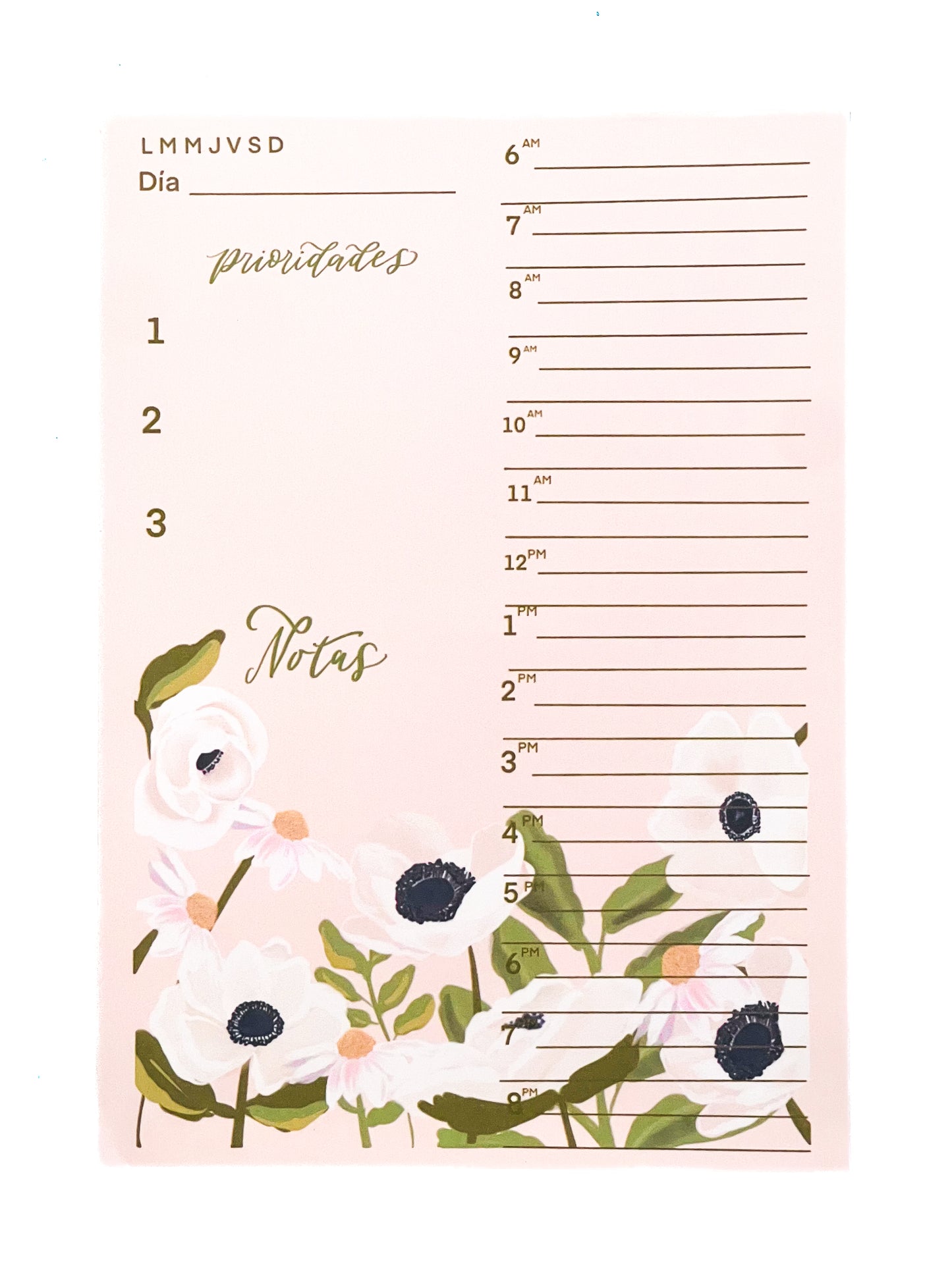 Libreta, Plan Diario Anémona