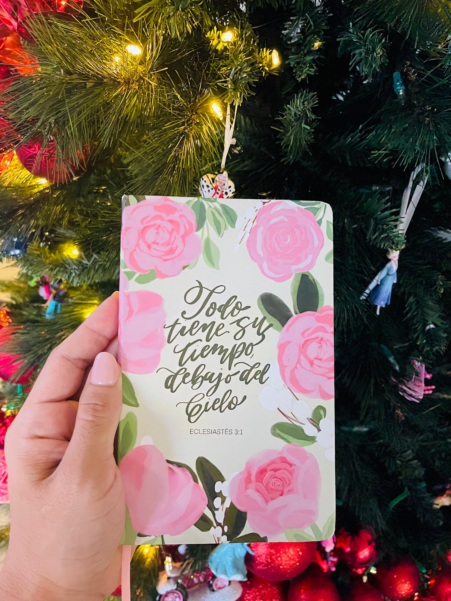 Cuaderno, Todo tiene su tiempo debajo del Cielo.